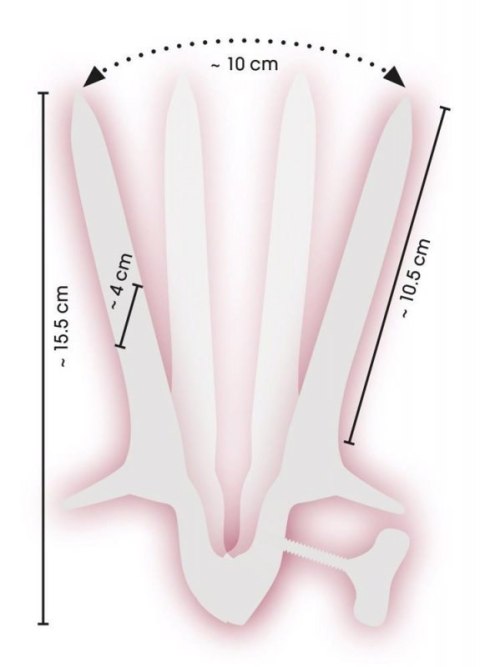Vaginal Speculum
