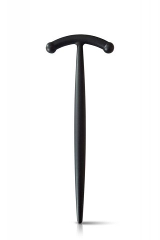 PENIS STICK TAILLE 2