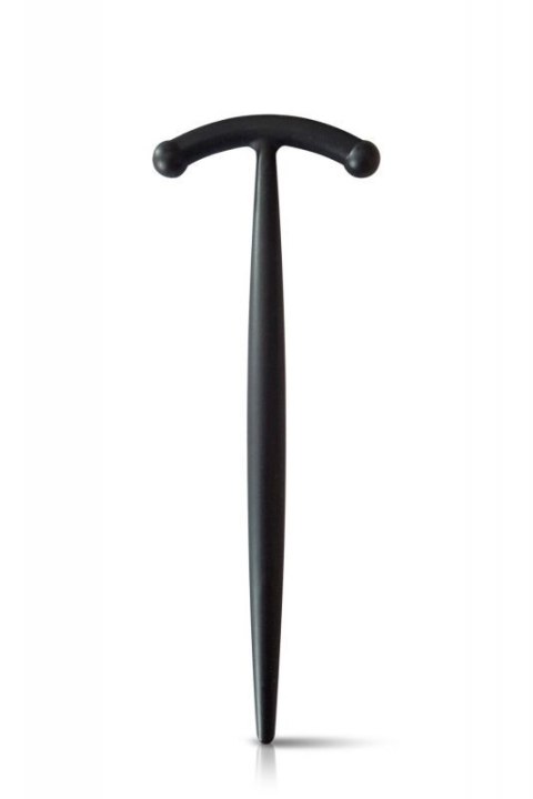 PENIS STICK TAILLE 2