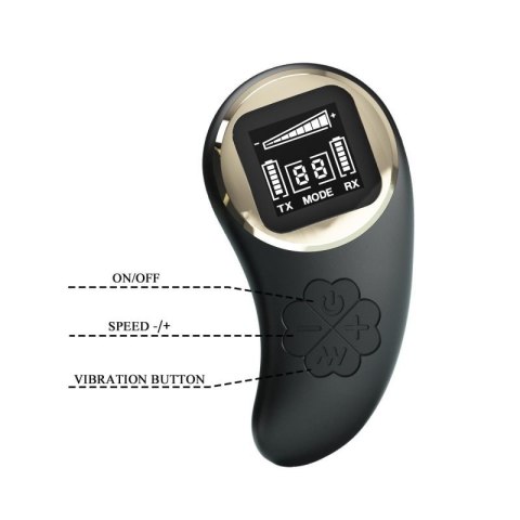 PRETTY LOVE - Nathan, Wireless remote control 9 speed levels 10 vibration functions, ABS Silicone , USB rechargeable
