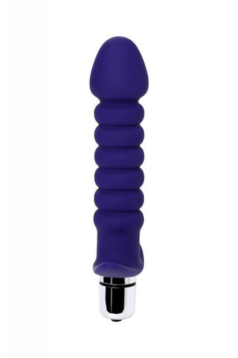 ToDo Condal Violet Anal Vibrator